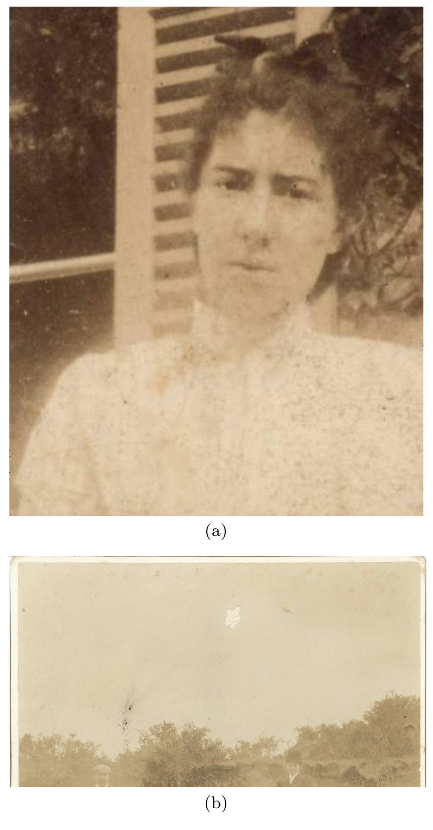 Figure 4: (a) Image in Fig. 1(a) after restoration; (b) Image in Fig. 1(b) after restoration 