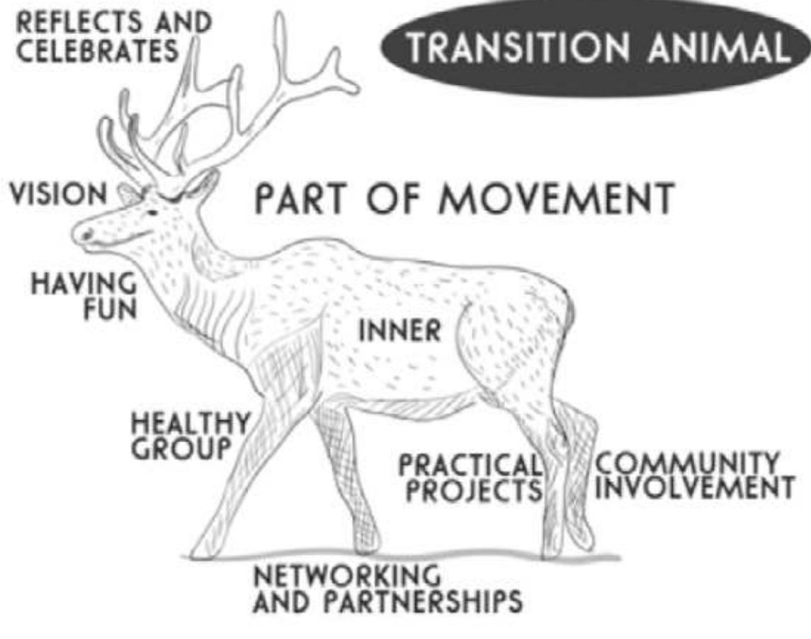 Having developed and tested this methodology, we are planning a communications campaign encouraging groups to try the process and share data about their results as a way of mapping activity and fostering connections across the movement. We're excited about the potential for this project to enable us and others to provide more targeted, informed support to groups. It’s also a little daunting given the diversity of hubs that we’re working with and Transition initiatives that we're seeking to reach (so far, the healthcheck has been translated into 14 languages) and the technical and legal challenges associated with capturing and sharing meaningful data.  The Healthcheck project builds on work done in previous years to identify the seven essential ingredients that seem to be present in the most thriving, effective and enjoyable Transition Groups. A healthcheck has been designed to help people reflect together on whether and how these ingredients are showing up in their group,  to identify what's working well, what could be strengthened and what isn’t working and might need to change. Our experience from running workshops based on this approach is that groups rarely pause to make a structured assessment of how they’re doing and are often heartened and reenergised when they allow themselves to notice and celebrate their achievements and think about what they've learned from their failures. The health check is deliberately designed to be light and exploratory in tone and to open up the possibility of doing less rather than more! 