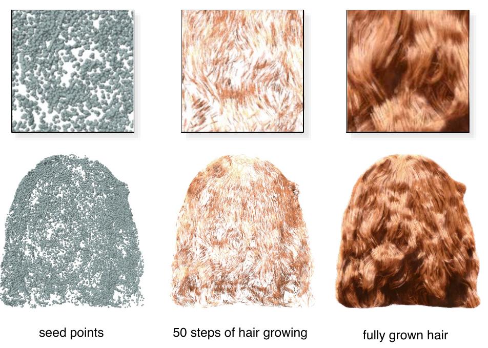 Figure 9: Our seed-and-grow algorithm incrementally synthesizes hair strands from a temporally coherent set of seed points. 