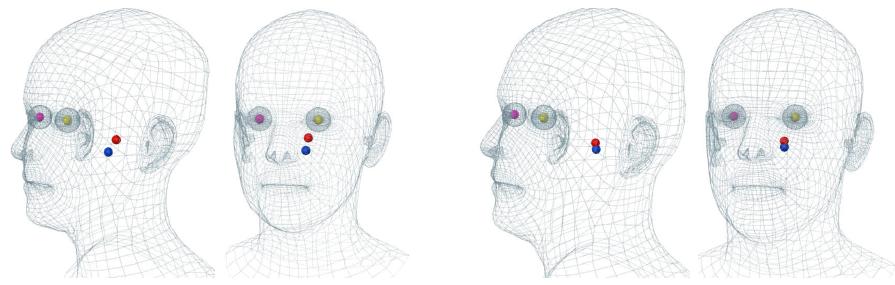 Fig. 3. Joint locations of the female (left) and male (right) FLAME models. Pink/yellow represent right/left eyes. Red is the neck joint and blue the jaw.  Fig. 2. Parametrization of our model (female model shown). Left: Activation of the first three shape components between —3 and +3 standard deviations. Middle: Pose parameters actuating four of the six neck and jaw joints in a rotational manner. Right: Activation of the first three expression components between —3 and +3 standard deviations. 