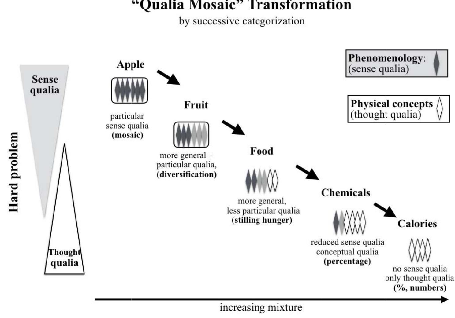 Fig. 4. Mixture of incompatible qualia during gradual categorization.   — s The mental function of categorizing reflection gradually transforms the sense qualia mosaic of experience to a thought  nen nen nn nn ee Me ene nn ee EE EEE EE  qualia mosaic for concepts. The comparison of pure sense qualia at the start point and pure thought qualia at the end point of the categorization chain shows the profound gap described as the hard problem.  detection of new common properties, such as nutritional values for an apple (chemicals and calories). Thereby,  2.5. Extension of the Hard Problem to All Sense Organs 