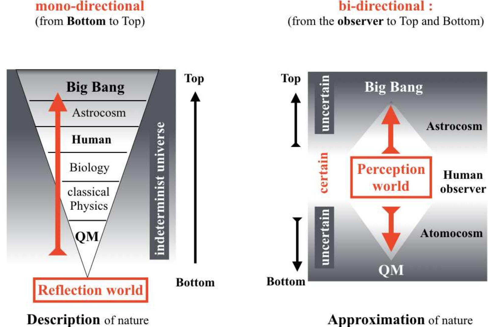Bio-psychology  Fig. 6. Mono-directional and bi-directional worldviews.  A bottom-up representation of the universe from the atomocosm to the macrocosm, as physicists envisage, is based on uncertainty and is extrapolated to the entire universe (Figure 6). In contrast, a top-down representation from the level of the observer in the macrocosm to the atomocosm or a bottom-up view from the observer to the astrocosm would start with macroscopic certainty but would become increasingly uncertain. Although humans are not at the center of the universe, we do develop our knowledge on the universe from this perspective. Similar to an optical perspective, the perspective of scientific knowledge in the atomocosm and the astrocosm is subject to progressively greater uncertainty as the distance from the observer increases. Distant  physical phenomena thus become mere approximations with probability estimations.  250 HEISENBERG’S VERSUS VON NEUMANN’S INDETERMINISM OF QUANTUM MECHANICS 