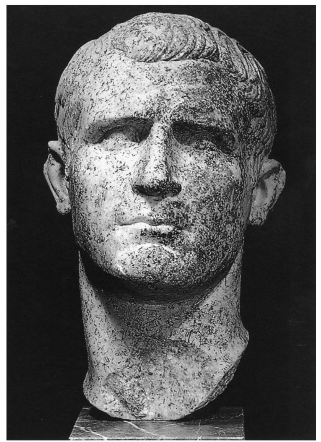 Fig. 14. Bust of Agrippa, discovered at the Theatre (courtesy of the Butrint Foundation). 