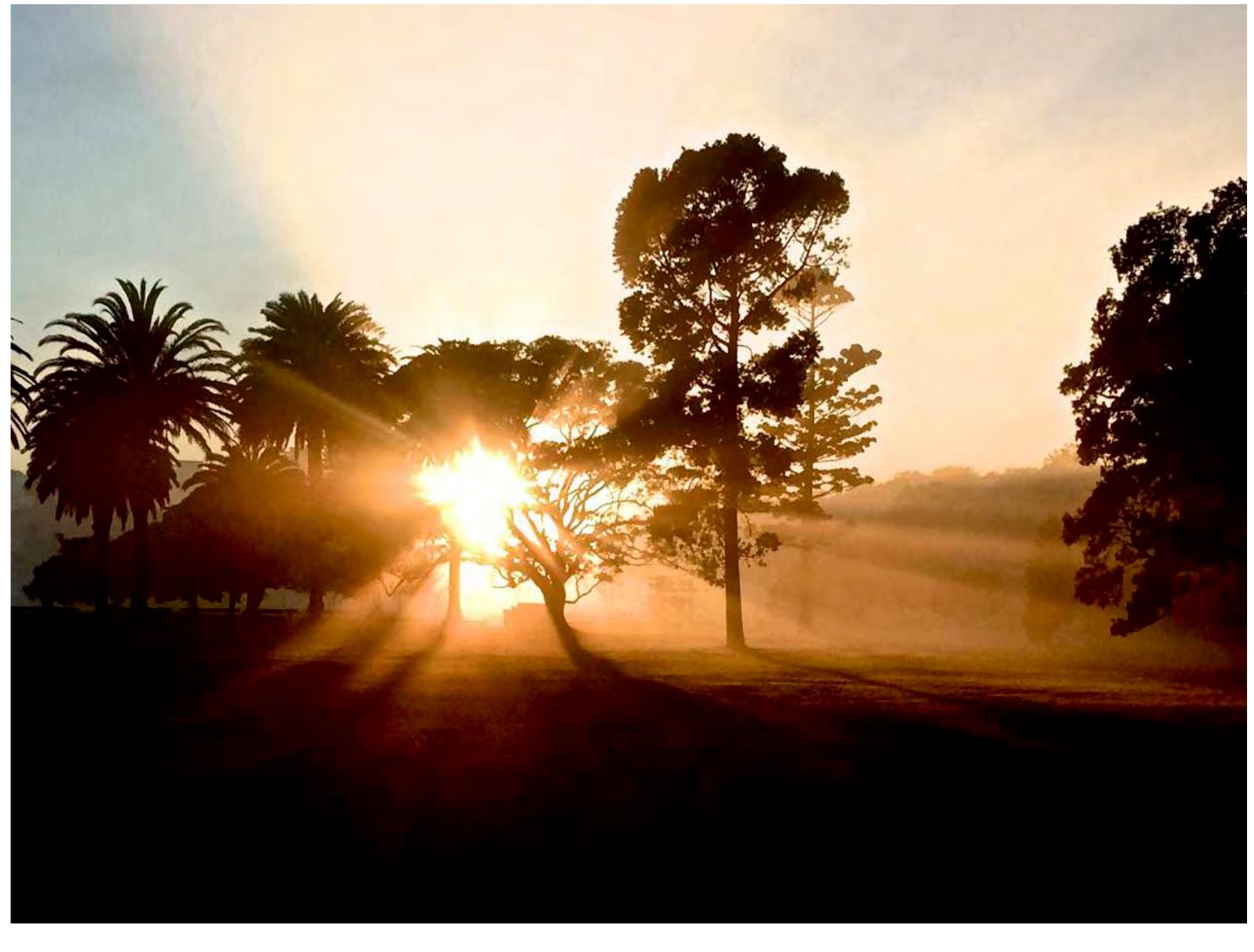 Crepuscular light rays of the Sun made visible by fog and trees.  ta ee, ee ae  It was by the Divine Exhortation that Being willed existence into being; 'He saith unto it: Be! and it is',5 and 'His thought encompassed all the worlds at once... All were created in a single instant'.6 This bringing forth of the Will of Being is a glorific exhortation and projection of Divine Power that can be likened to a divine outpouring of rays of creation. The sun forms the pre- eminent symbol in this respect for the principle of radiation, its rays the projection outward from the source of almost unlimited power into the darkness of space. The rays are not visible in the glaring light of the full sun, but at dusk and dawn, when the light intensity is veiled by clouds, trees and mist, they become visible as radiating crepuscular rays from the same centre. It is the fiat lux of the Old Testament’ in which each ray is a projection of indefinite possibility in Being. Rumi says 'Dost not thou know that the light of the Sun is the reflection of the Sun beyond the veil'.8 For ‘The Sun ... is an image of the Maker who is above the heavens'.2 Glory is the name given to that Quality that infuses the Divine Plenum. It expresses this power in the form of radiation. It is the effulgent radiation of Being projected or externalized (Image 2.1 and Diagram 2.2). 