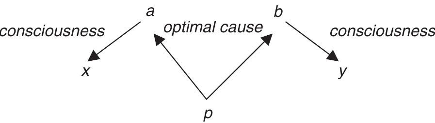Fig. 2.2. The relational view and coincidental variation entail that the depicted situation obtains in some coincidence cases.  different external color, taste, or pain properties. (Coincidental variation is neutral on the issue of whether these different properties are different response-dependent properties of objects and bodily regions, or different projected properties that the objects and bodily regions do not actually have.) So, on a relational view, coincidental variation means that in at least one coincidence case two individuals, a and 6, bear the consciousness relation to different color, taste or pain properties x and y, despite bearing the optimal cause relation to the very same property p. Those who combine the relational view and variation will say that this is somehow owing zo the internal or functional differences between them. Diagrama- tically: 