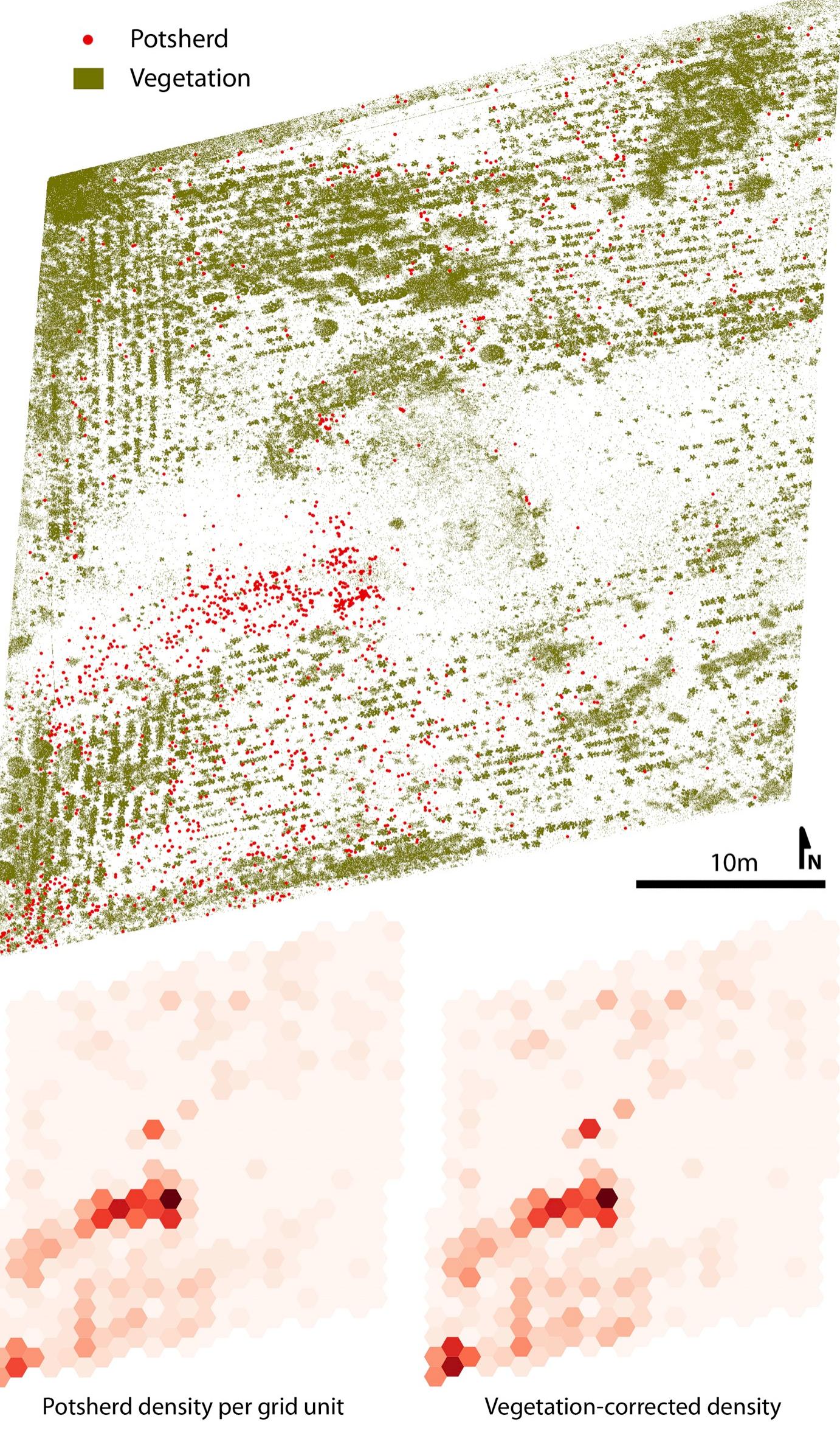 Fig. 6. Potsherd distribution plotted against vegetation density in plot 591. 