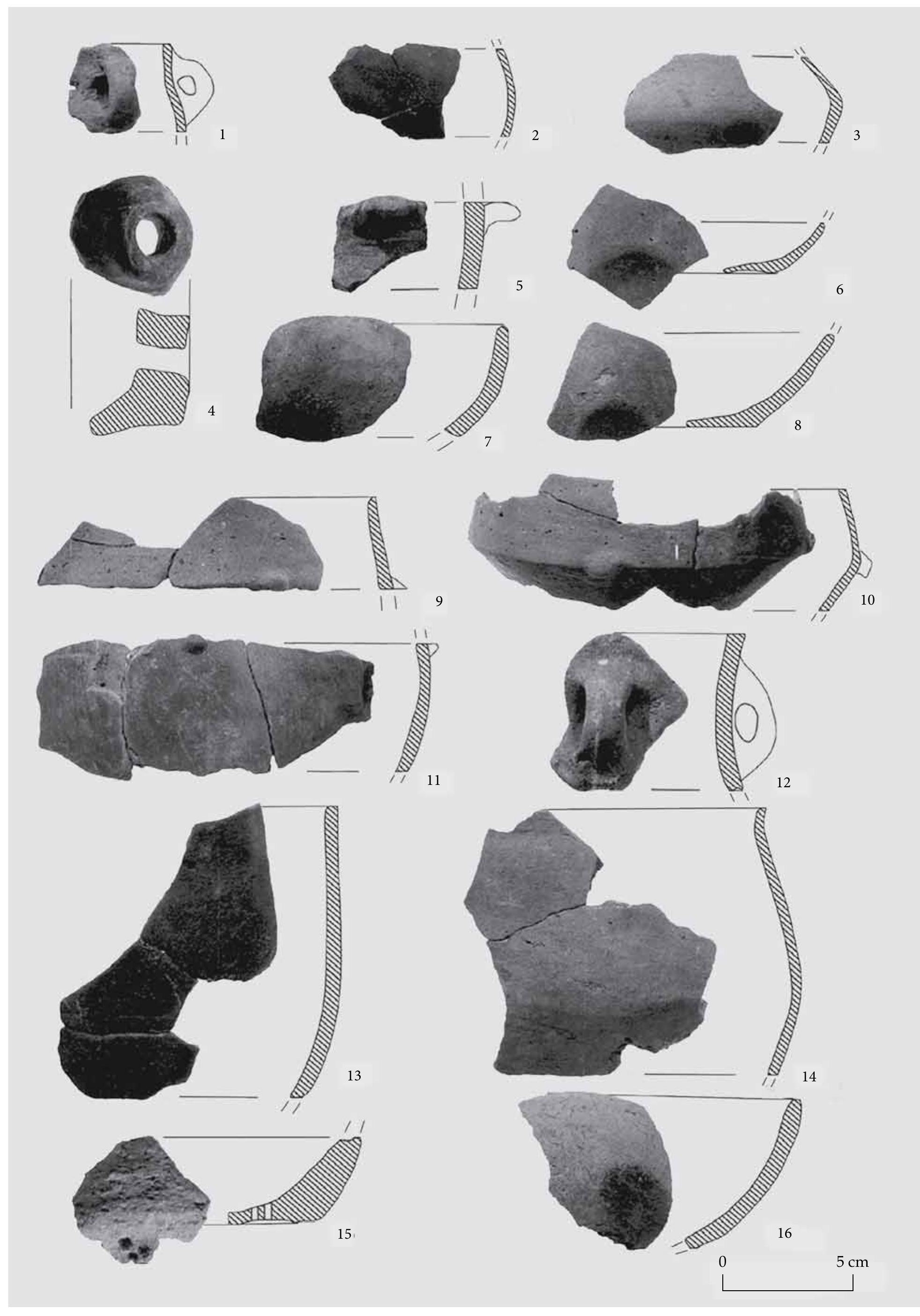 Fig. 12 Ceramic finds (1-16) of Feature 142.  Judit P. Barna, Gabor Serlegi, Zoltan Fullar and Eszter Banffy 