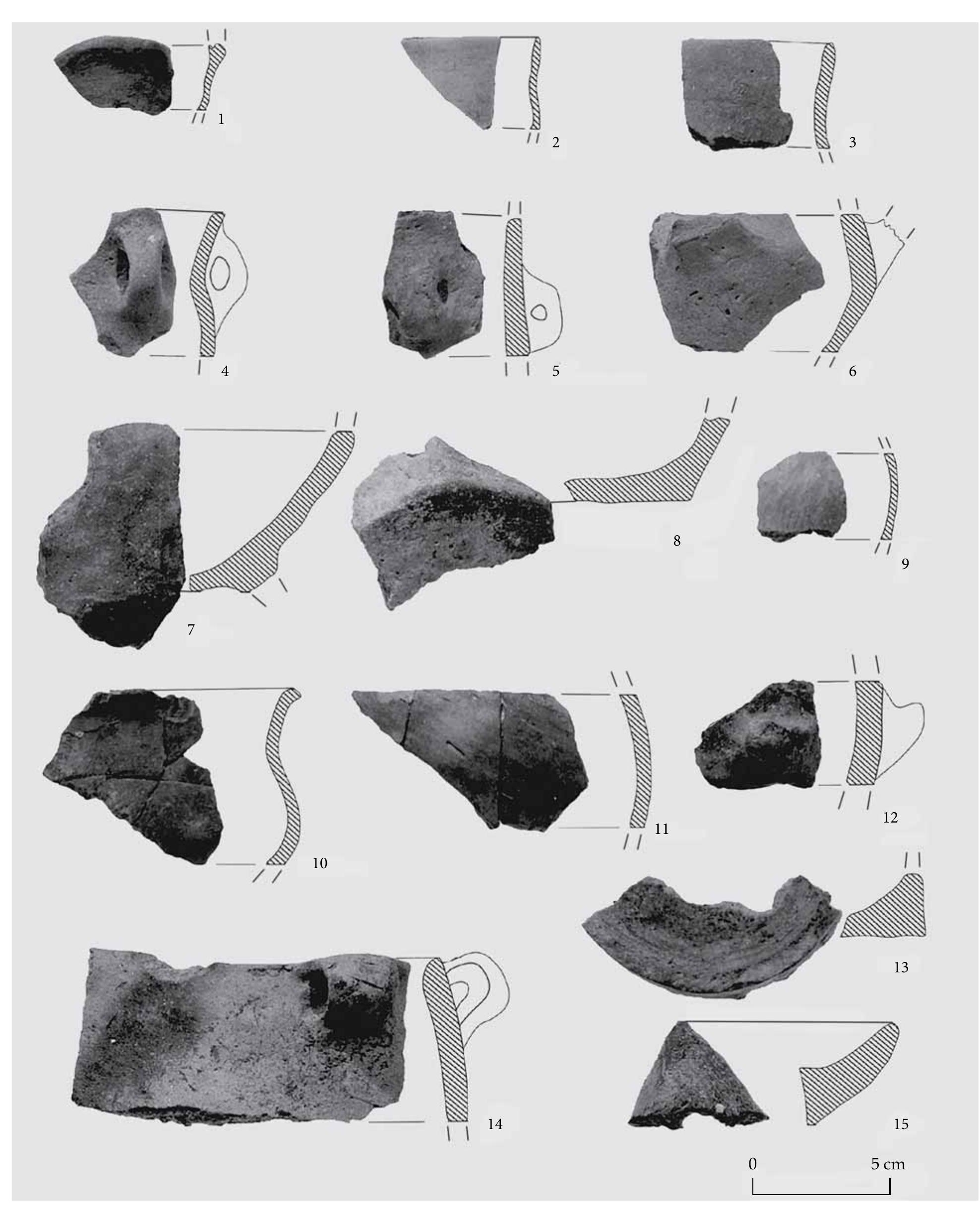 Fig.15 1-8, 12 Ceramic finds of Feature 143; 9-11, 18 Ceramic finds of Feature 162; 14-15 Ceramic finds of Feature 164.  A circular enclosure and settlement from the mid-fifth millennium BC at Balatonmagyaréd-Hidvégpuszta 13) 