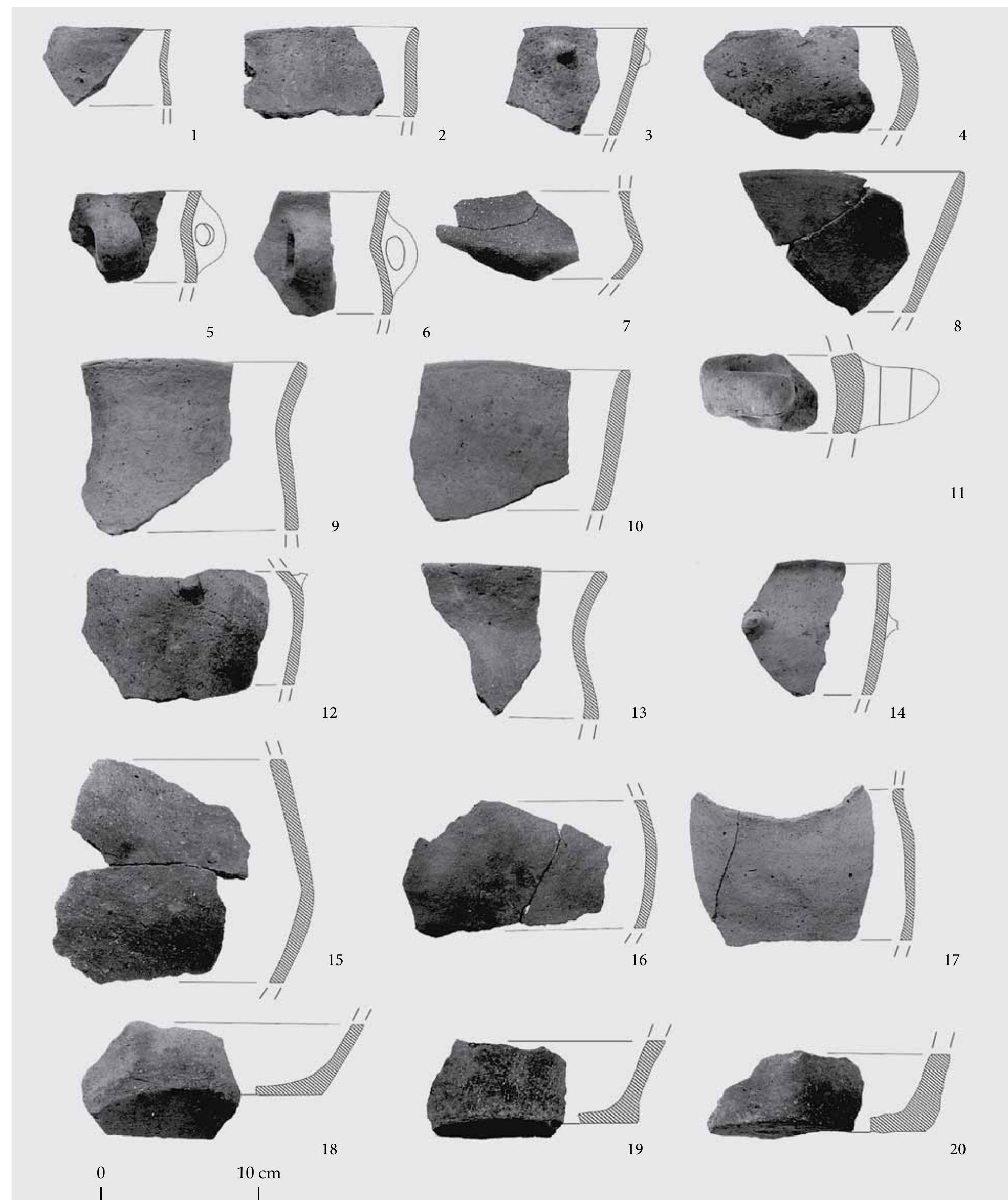Judit P. Barna, Gabor Serlegi, Zoltan Fullar and Eszter Banffy  Fig. 16 Ceramic finds (1-20) of Feature 147. 