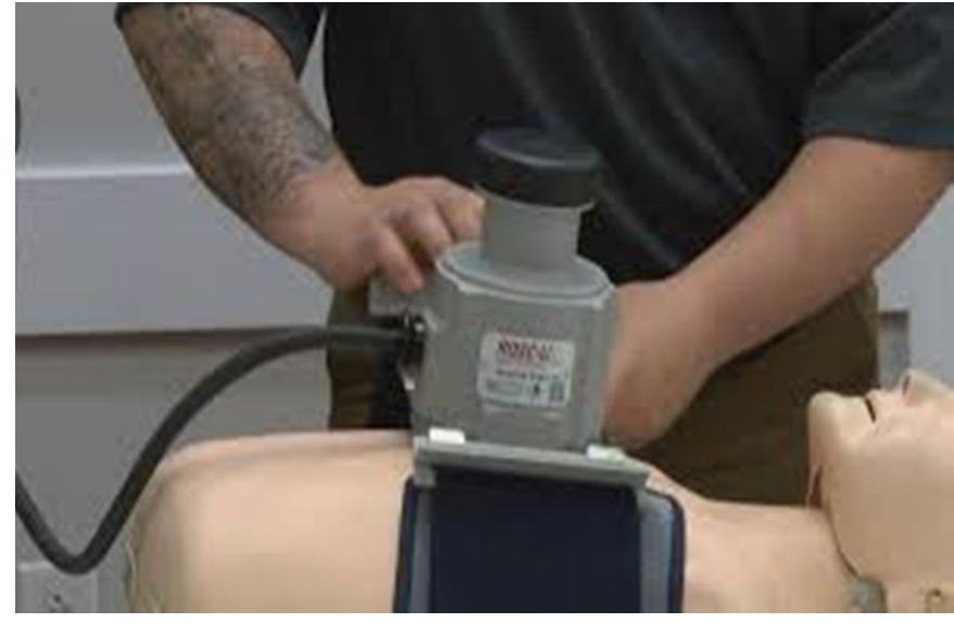 Fig.1 Function of Cpr 