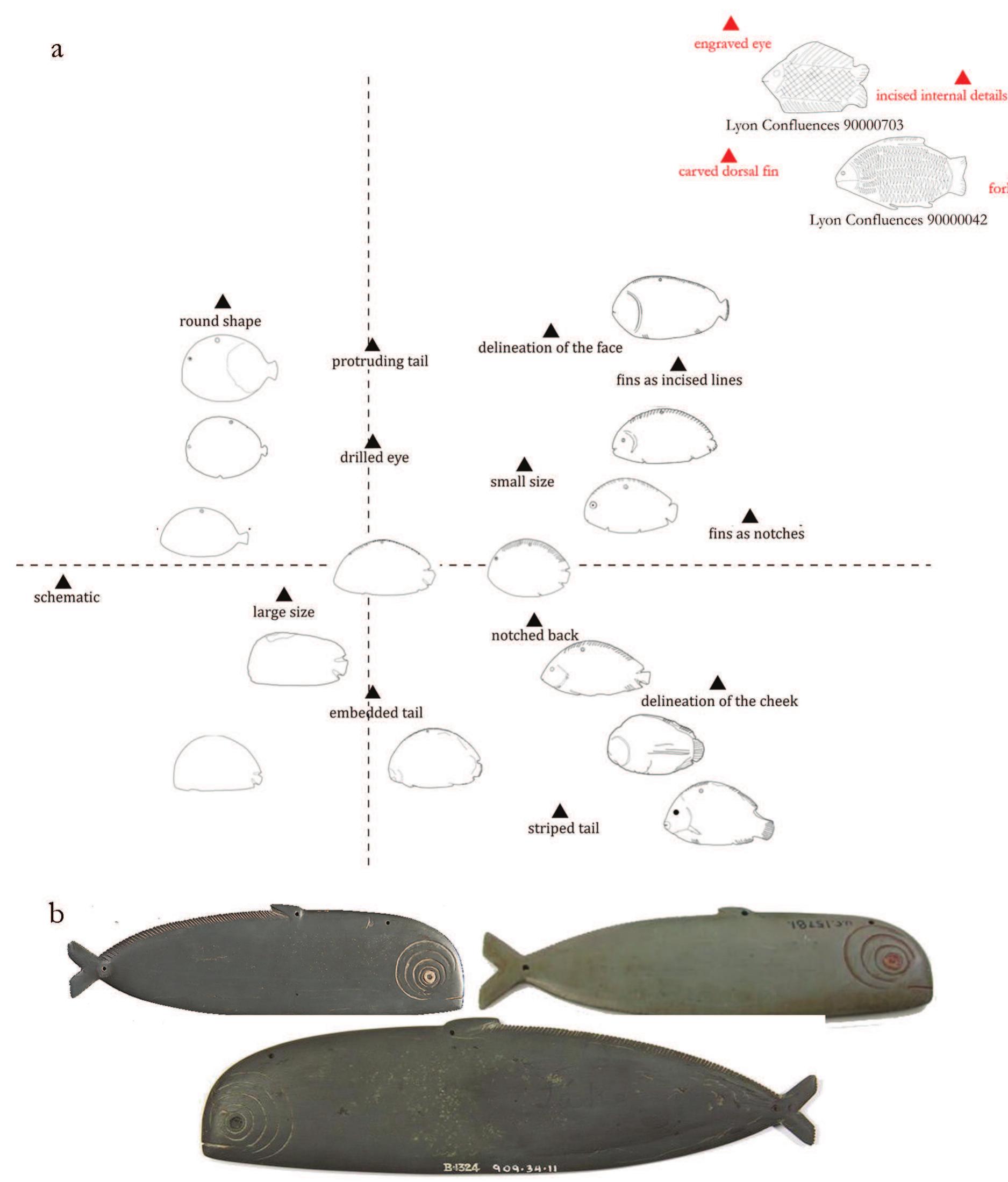 Figure 4a—b—A statistical approach to forgeries in Predynastic material, as exemplified by fish-shaped palettes. Overly atypical as well as com- pletely too identical artifacts are considered suspicious: 4a. Plot of multiple factor analysis of morphological variables; 4b. Three suspicious and identical fish palettes: Louvre Museum inv.no. E22731; Petrie Museum inv.no. UC15781 (Petrie, Prehistoric Egypt [1920], pl. XLV.10, XLIII.35; and Toronto R.O.M. inv.no. 909.34.1. 