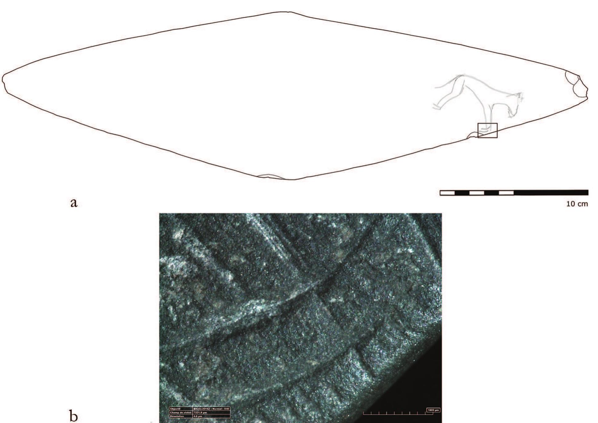 Figure 14a—b—Engraved palette from Beit Allam (Saint-Germain-en-Laye, Musce d’Archéologie Nationale, inv.no. 77.713f02): 14a. Full drawing; rectangle indicates the scope of the microscopic magnification below; 14b. Detail with microscopic magnification (x40) of grinding grooves and scratches (photograph taken with Hirox microscope KH-8700).
