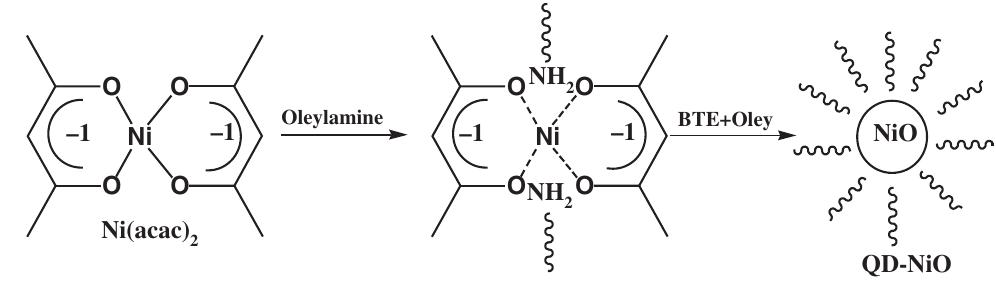 oxygen and moisture are removed. After this, 2 mL o oleylamine and 0.339 mL of the borane-trimethylamine complex ((C,H;),;N-BH,) was added to this mixture at 90 °C and stirred for 1 h. Once the solution was cooled to room temperature, ethanol (30 ml) was added and then centrifuged at 3000 rpm for 30 seconds to collect the QDs. The resultant powder was washed several times by ethano to remove organic residuals. The synthesized NiO QDs were then dispersed in toluene (40 mL) and used for over deposition of MAPbI via spin coating. The synthesis reac- tion is schematically shown in below.   2.5. Material Characterization 