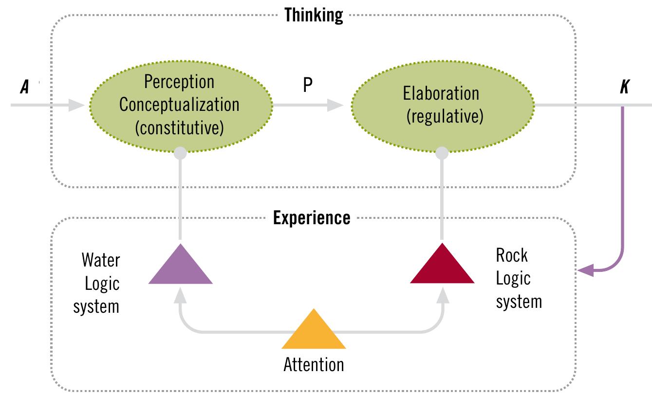 Figure 5: The logic of experience: An autopoietic process model. 
