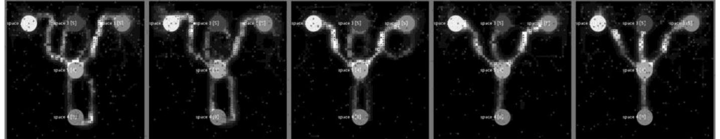 Switching the direction to arrivals, the agents travel south from the north points to the central cyan colony. Agents from here seek the bottom orange colony, reflecting the movement of multi departure points to a single destination. 