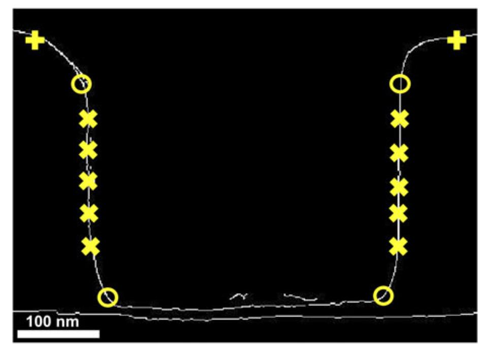 Figure 8: Application of edge tracking algorithm to a frame that has been converted to binary (black and white) image, with the starting points for the edge tracking algorithm marked ‘+’, pillar edges marked ‘x’, and pillar base and head marked ‘O’. 