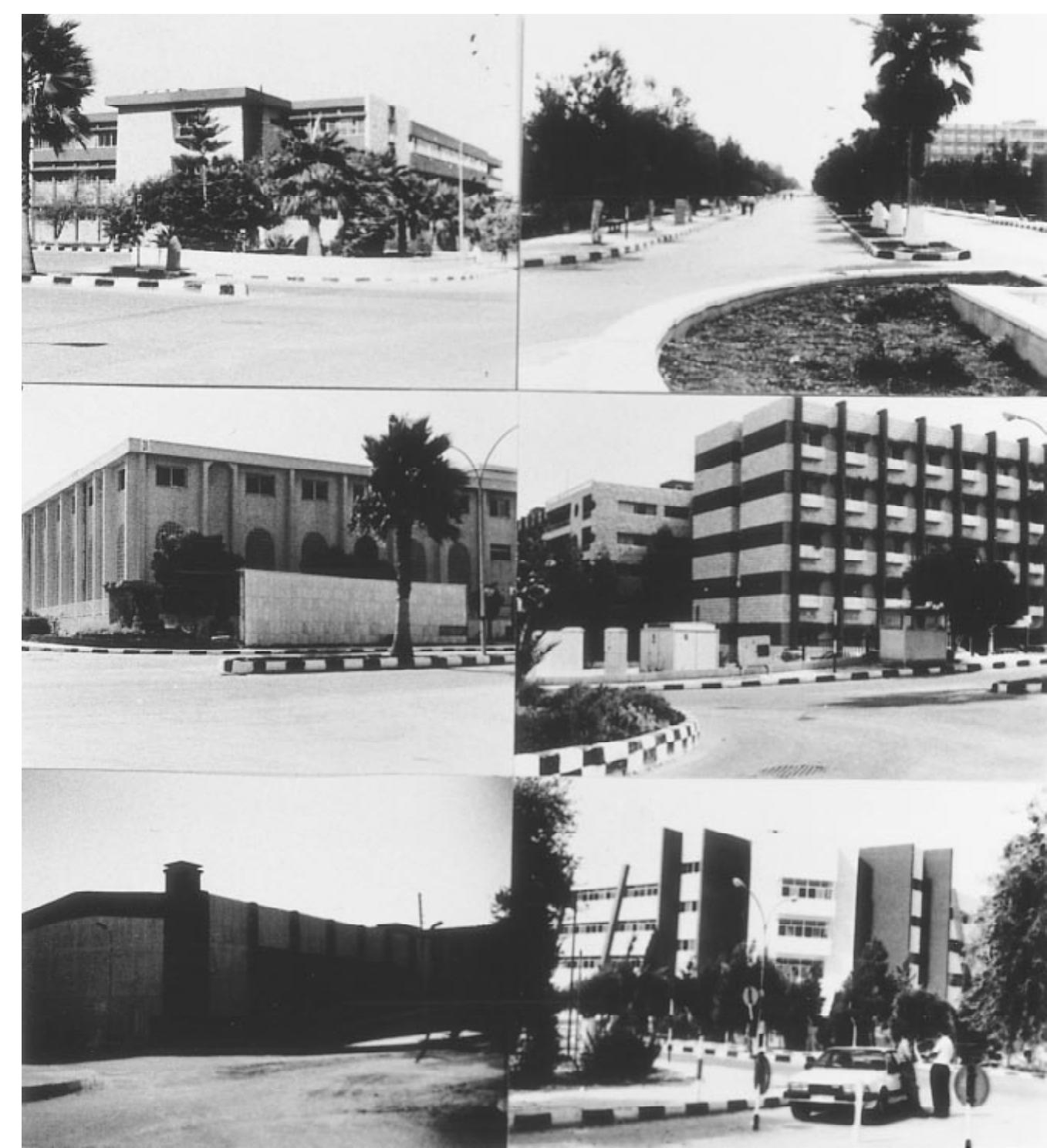 FIGURE 6. Photographs for selected parts of Yarmouk University campus. 
