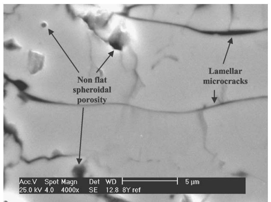 Fig. 10. High magnification SEM micrograph of the 8Y.03-ZrO» coating. Arrows show lamellar microcracks and non flat spheroidal pores. 