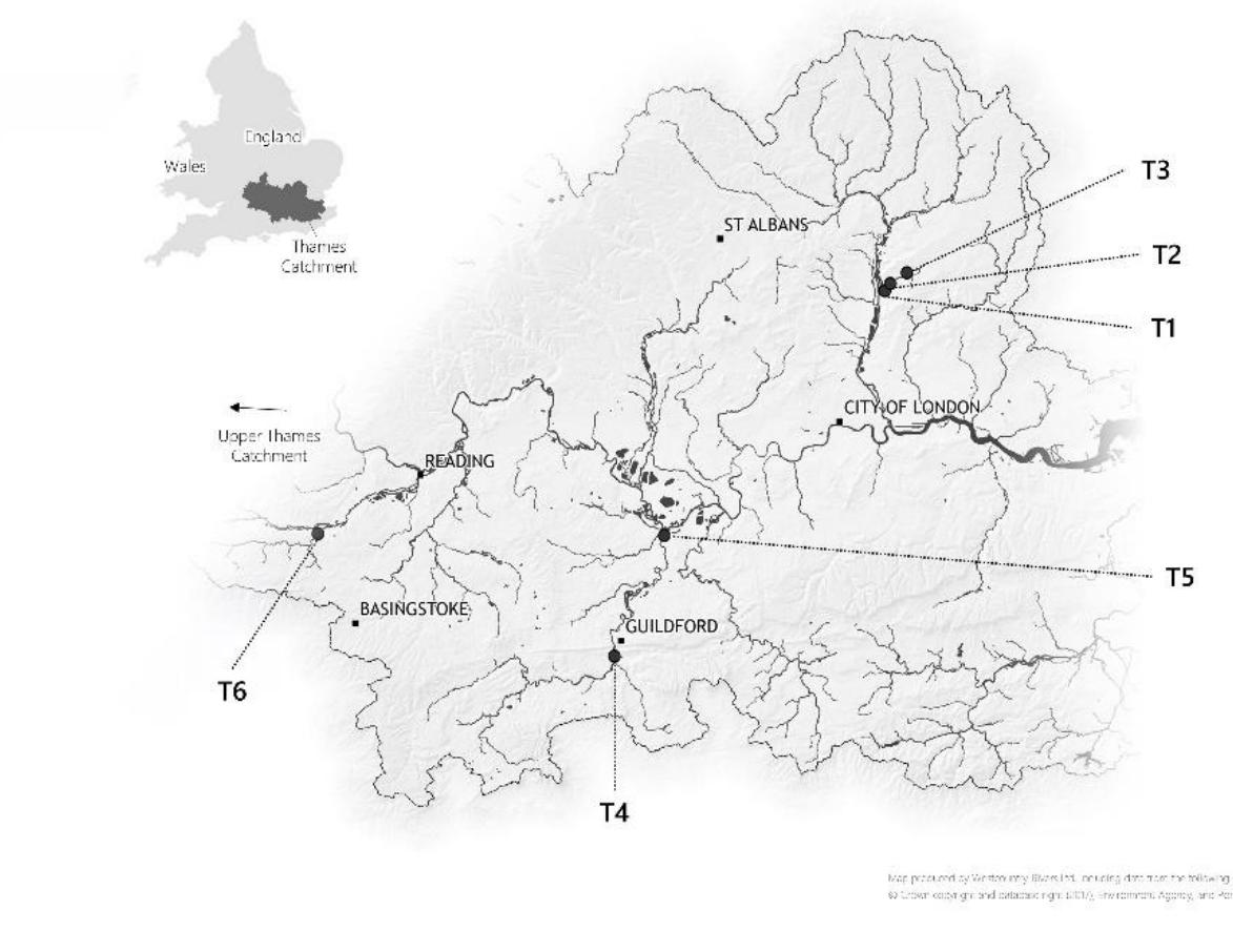 Fig. 2 Map of sampling site locations within the greater River Thames basin. Key to the location of sampling sites: Cobbins Brook (Swimming Pool (T1)); Galley Hill (T2); Cobbins End (T3); Tillingbourne (River Wey (T4)); Weybridge (Lower Wey (T5)) and the River Enborne in West Berkshire (Shalford Bridge  (T6)). A version of this map giving details of land use is shown as Fig. S2 in electronic supplementary information.  Forest on Cobbins Brook (Swimming Pool (T1); Galley Hill (T2); Cobbins End (T3)). These locations were predominantly non-irrigated arable land (62%) and pastures (18%). Surface water bodies accounted for 0.65% of coverage.”® Higher concentrations were expected in the surface water at these sites due to run-off from the surrounding arable farmland. Two sites were situated within Tillingbourne (River Wey (T4)) and Weybridge (Lower Wey (T5)). Here arable land coverage was much lower (4-16%) with some surface water bodies present (2-7%).78 Hence, lower concentrations of metaldehyde were expected to enter surface water bodies in this region. The final site was located on the River Enborne in West Berkshire (Shalford Bridge (T6)). In this area arable land coverage was 50% and surface water bodies 0.5%.28 The trial was undertaken between 20" July 2016 to 20" July 2017.  