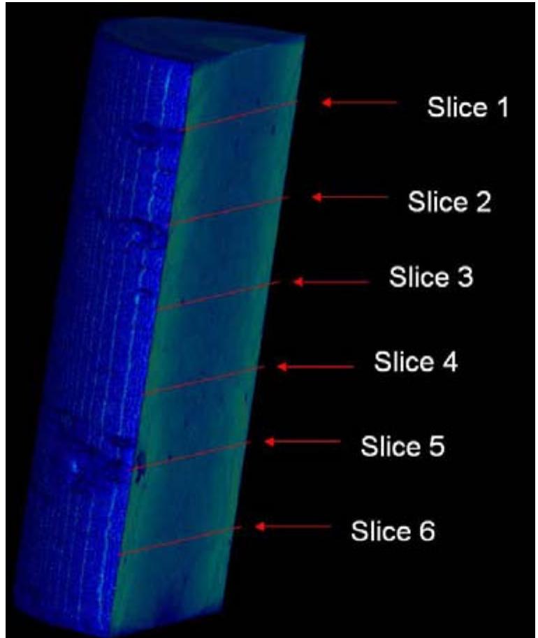 Figure 4.5. Depiction of the slices viewed within a sample  through the cylinder. The first four profiles are slices taken towards the edge of the sample and touch each other their sides to portray a wrapping effect around the sample, referred to as wrapping edge profiles. Then a profile is taken directly across the samples center, referred to as the central profile (see Figure 4.6). 