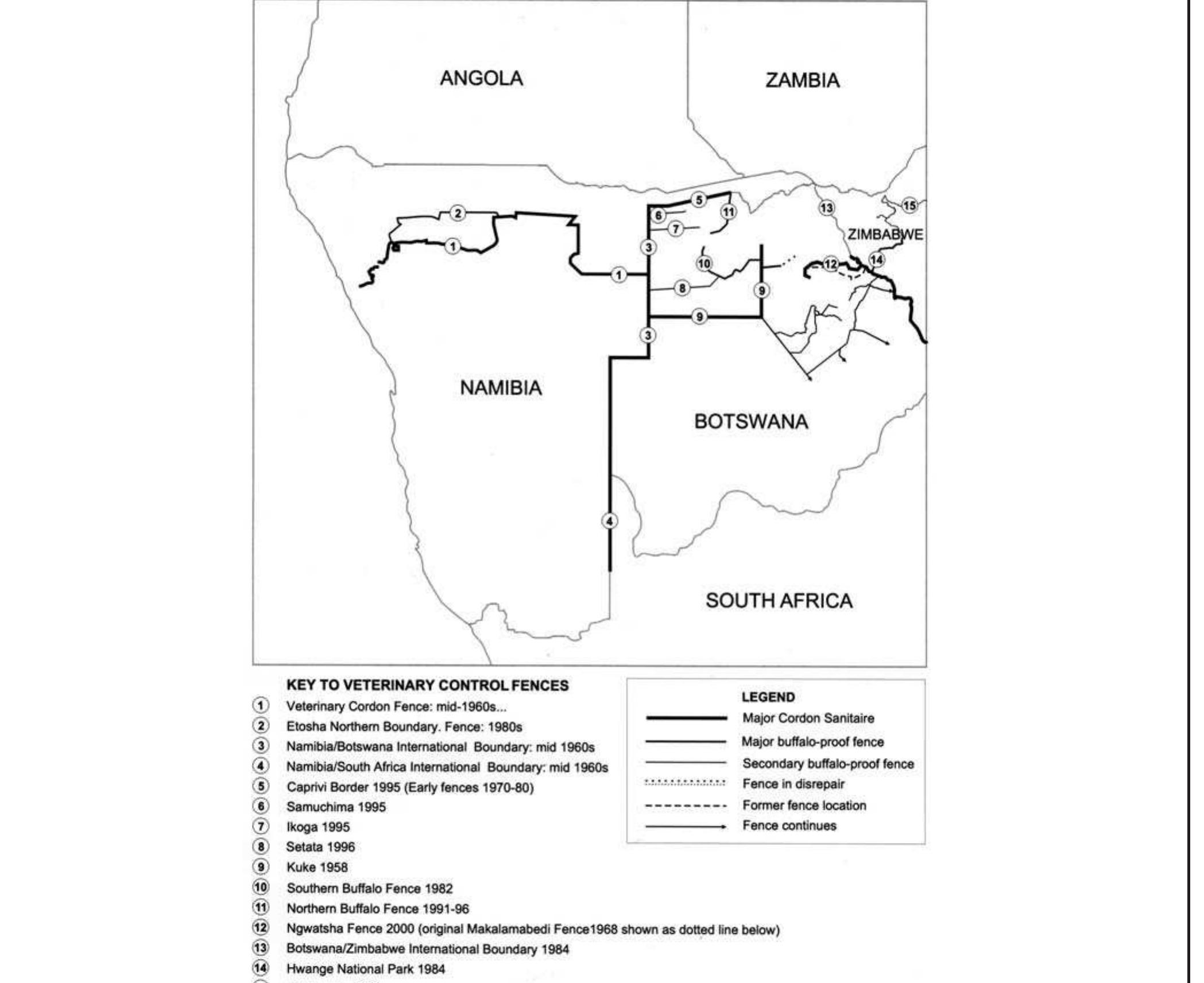The outbreak of contagious bovine pleuropneumonia it 1995 in the extreme northwestern corner of Botswani (Xaudum, Ngamiland) resulted in the eradication of 320,00( cattle and a proliferation of veterinary control fences over th« next few years (Amanfu ef al. 1998).  In Namibia, perhaps the most serious effect of veterinary fences is the effective separation of the western core wildlife areas on the Kavango River from the remainder of the Caprivi. The Caprivi Strip is a waterless tract of land, and the likelihood of any of these species traversing it is remote. 