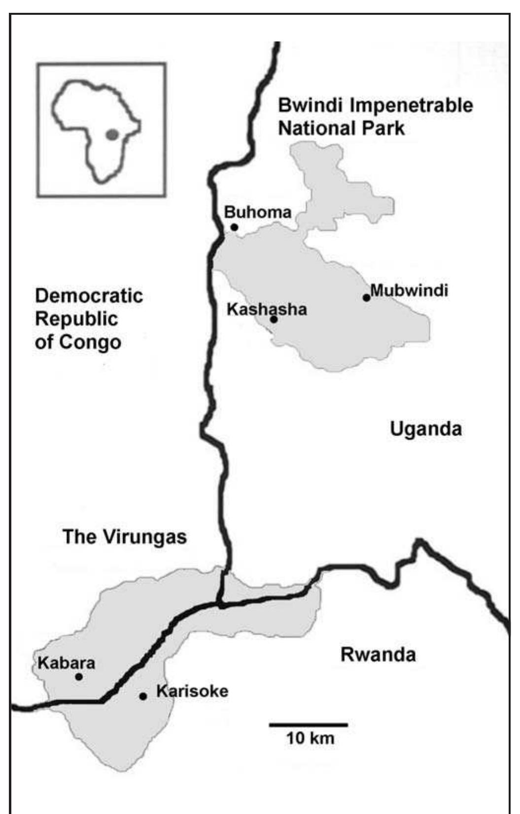Fig. 1. Mountain gorilla range  Courtesy of Dr. Michelle Goldsmith. 