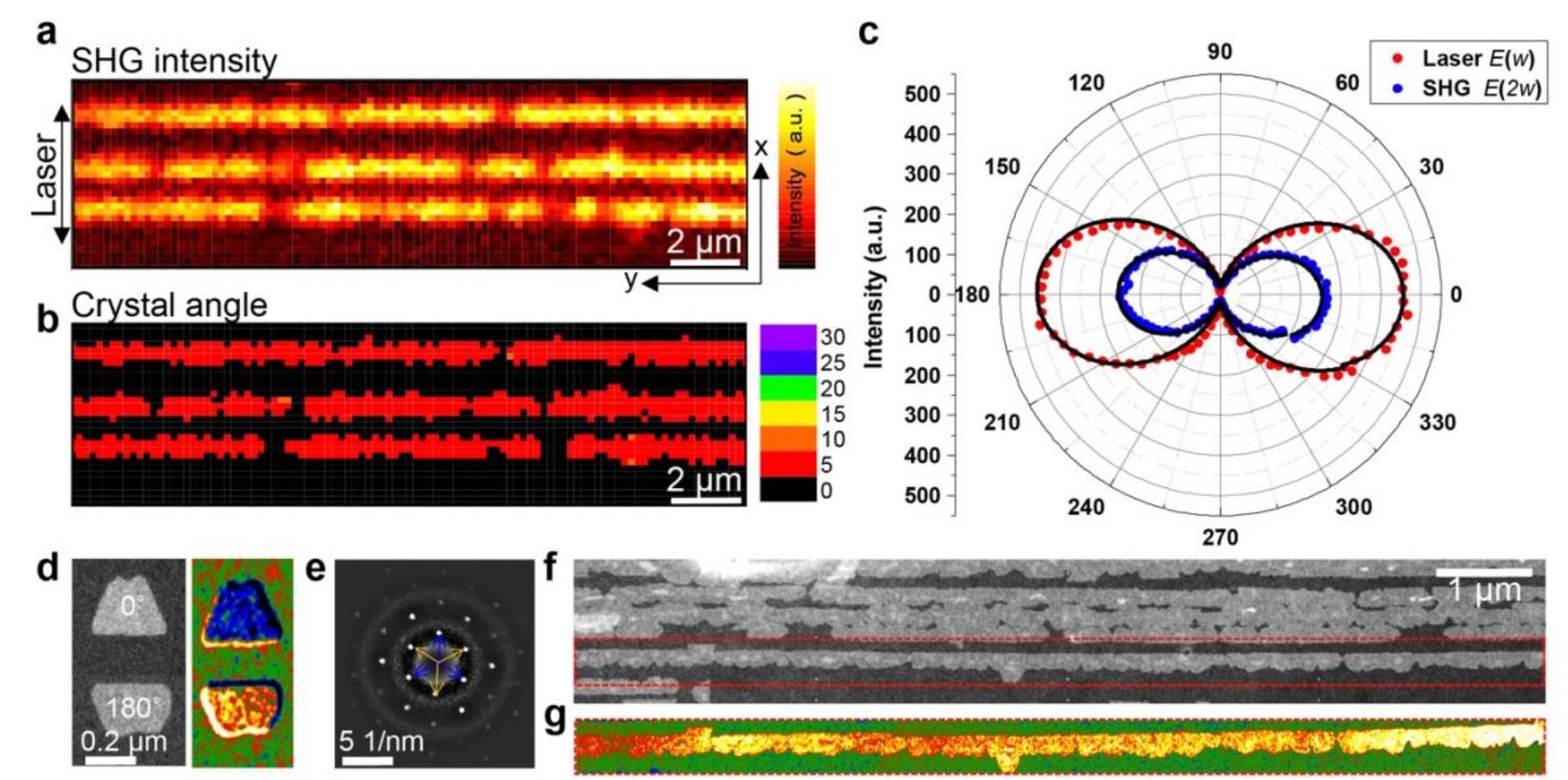 Fig. 2 | Polarization-resolved SHG measurement and DF-STEM characterization. a, The intensity map of the parallel component of SHG. The black arrow indicates the direction of incident laser polarization. b, Map of the angle (6) between the direction of laser polarization and the armchair direction of the MoS2 nanoribbons. c, Polar plot of the polarization-resolved SHG intensity and the backscattered laser light as a function of detection angles. d, (left) MoSz mirror domains of 0° and 180° orientations can be clearly juxtaposed with the differential diffraction filtered STEM mapping of domain orientations (right). e, Corresponding convergent beam diffraction patterns of the oppositely oriented domains in (d). f, ADF-STEM image together with (g) differential diffraction filtered STEM mapping of the MoSz2 nanoribbon highlighted in the red dotted rectangle collectively attests to the absence of grain boundaries which in turn confirms the single crystallinity of the LDE MoSz2 nanoribbons.  structures provide a cross-sectional view of both (-201) and (001) ledges on the (100) B- GazO3. c, Height profile along the well-defined atomic step on pristine B-Ga2Os3 substrate helps determine the step height of ~6 A. d, Nucleation of unidirectional MoS2 seeds along the ledge. e, A continuous MoS2 nanoribbon with asymmetric edges. f, Dense arrays of aligned MoS2 nanoribbons. g, SEM image showcases the continuous growth of globally aligned MoSz nanoribbons beyond millimeter-scale. 