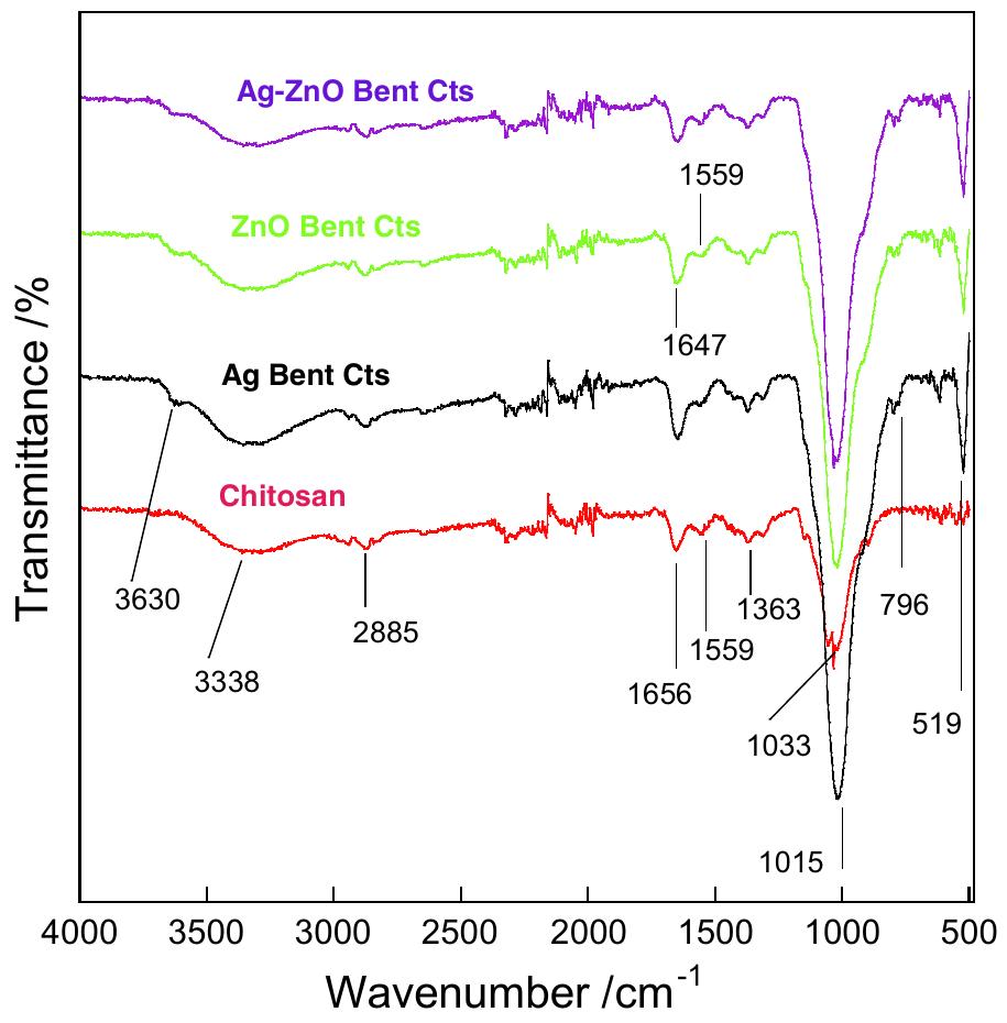 Fig. 2. FTIR spectra of cross-linked Cts and Bent Cts nanocomposites. 