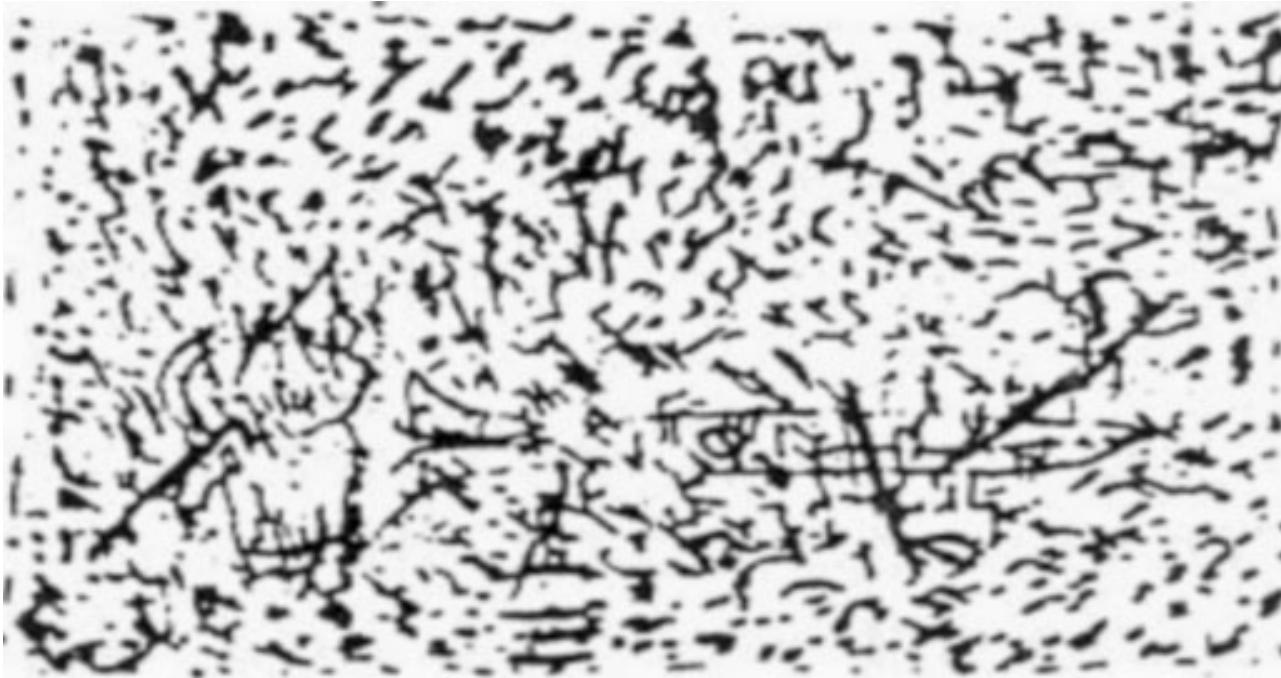 Figure 4. An example of an item from the Degraded Pictures Test from the Imagery Testing Battery (Version 1.0). The instruction was to identify the degraded object. The correct answer in the example is scissors 