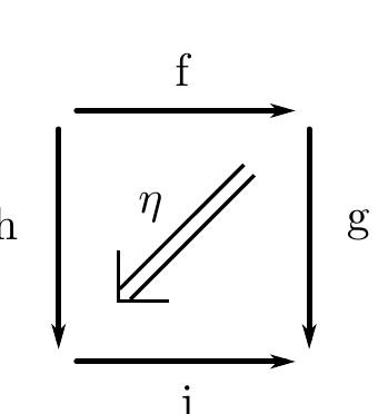 with 7 a natural transformation fg — hj. The quintet double category contains a quintet double groupoid just as a cat- egory contains its groupoid of invertible maps. For any object a € C, one can then consider the double group C[a], the restriction of the previous double groupoid to the object a. A representation of a double group would then be a  double functor to Cla], for a given a € C 