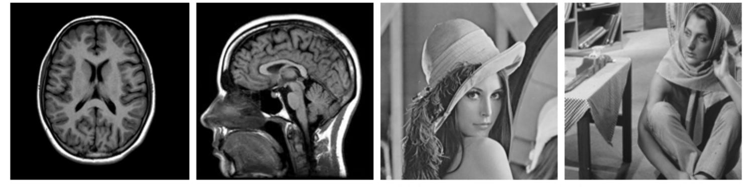 Figure 5 Test cover images The confidential data for embedding is a binary sequence produced by a pseudo-random number generator. This work is done in MATLAB R2014b.