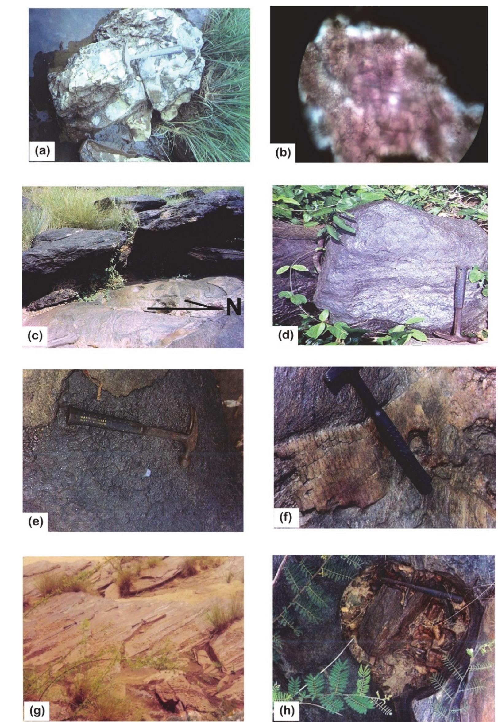 Figure 11. Main petrographic features observed at Pout Loloma 