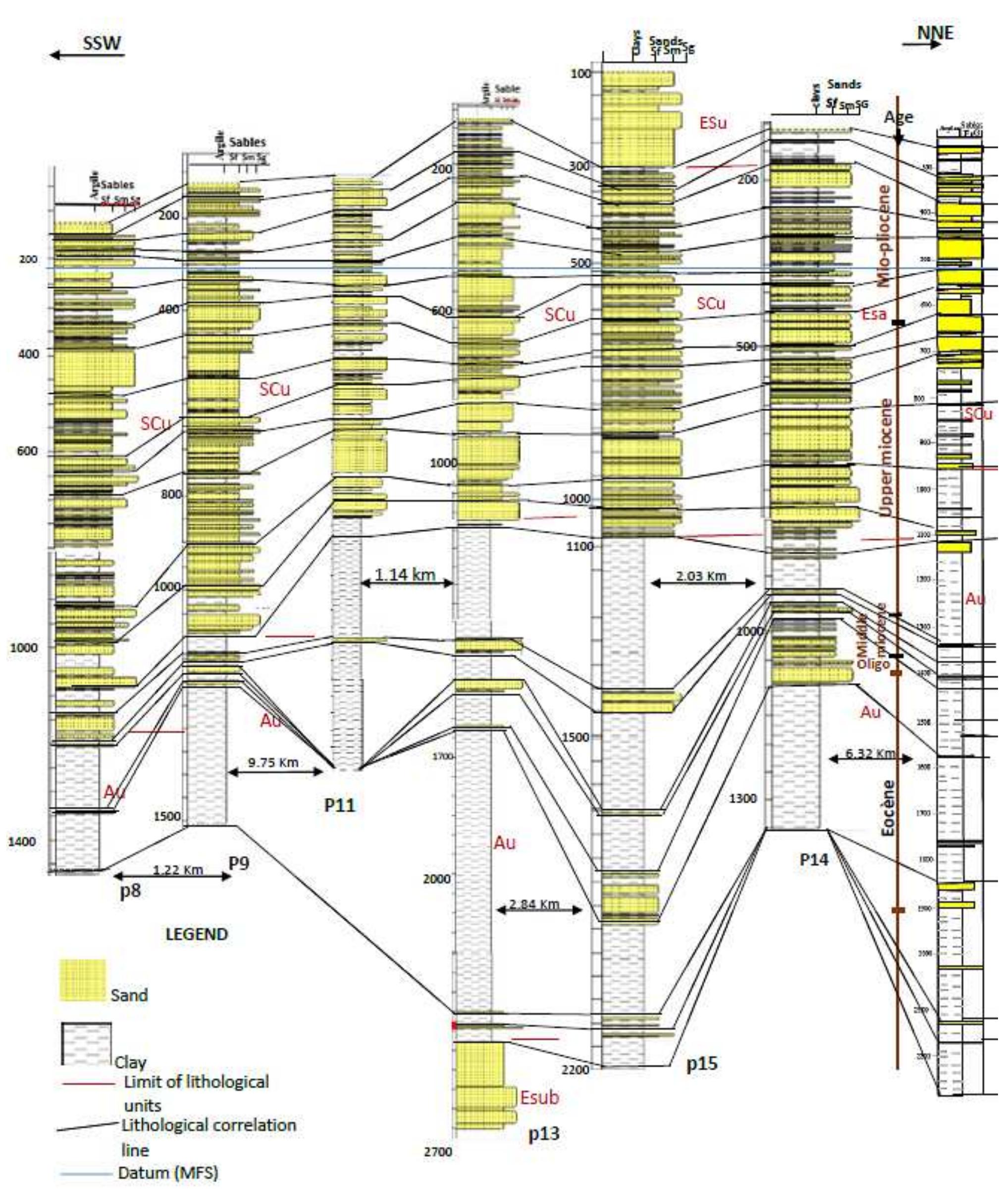 Figure 3: Lithological correlation and wells temporal calibration. Note the subdivision of the lithological units 