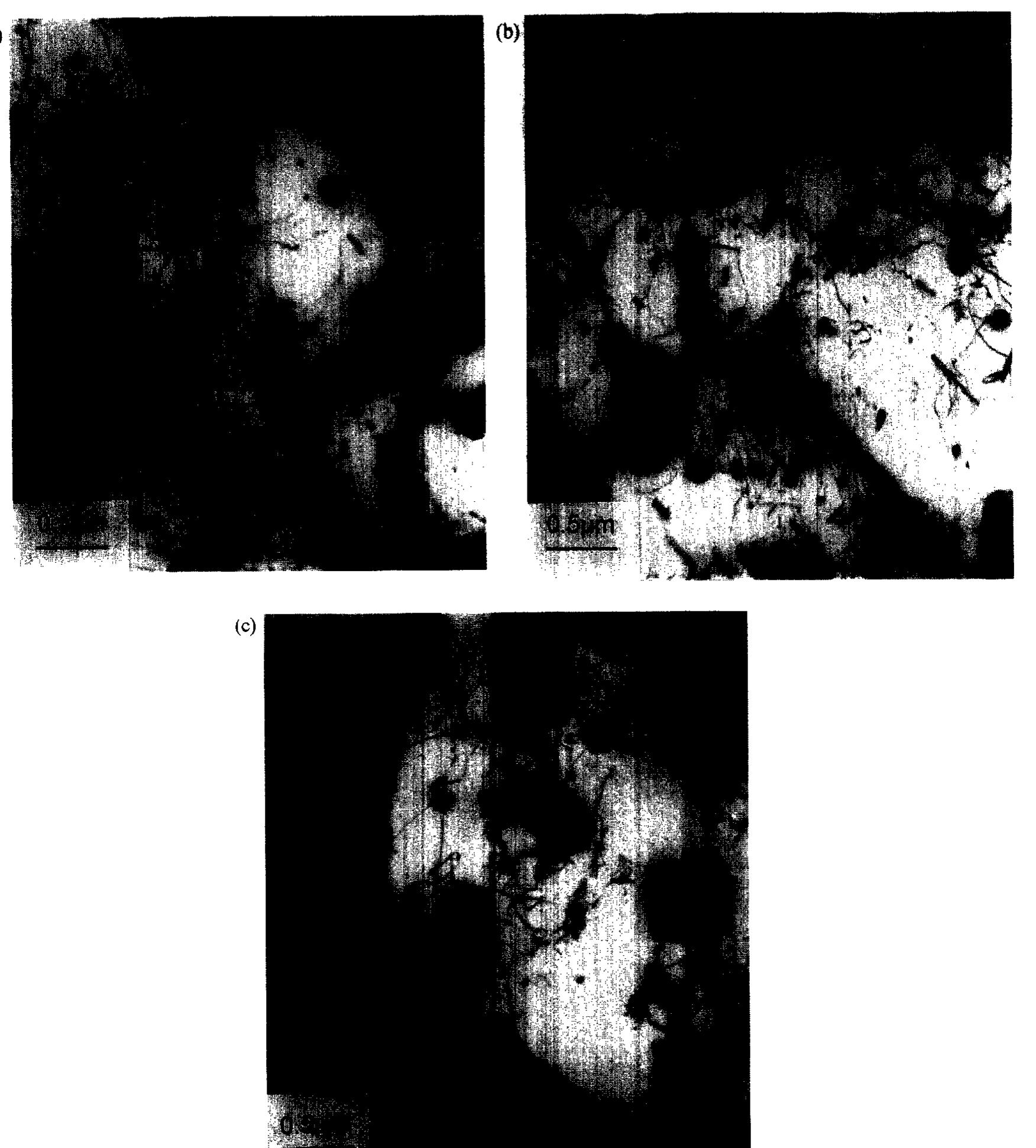 KLOC et al. CREEP BEHAVIOR OF AN ALUMINUM 2024 ALLOY  Fig. 6. Microstructures after creep testing to failure at 573 K: (a) at 50 MPa for 1.48h, (b) at 40 MP: for 8.78 h and (c) at 30 MPa for 94h. 