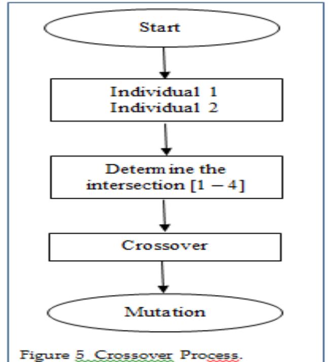 2.5 Mutation Process