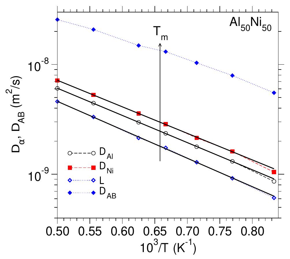 Fig. 5: Arrhenius plot of self-diffusion constants Da (a = Al, Ni), Onsager coefficient L and interdiffusion constant Dap for AlsoNiso. The solid lines are fits with the Arrhenius law (4), see text. The arrow indicates the location of the melting temperature Tm, & 1520 K of the simulation model. 