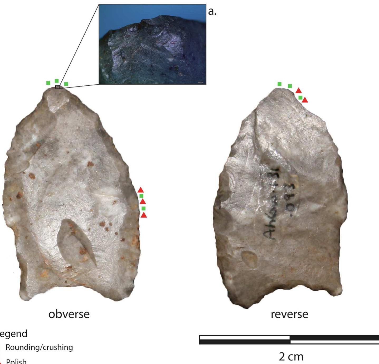 Fig. 6. Miniature projectile point that tested positive against dog. Large flake scars on both faces obscure the original dorsal and ventral faces of the flake from whict the tool was made, as well as the striking platform used in detaching the flake although, judging from the thickness of the tip, the platform may have been at tha location. Squares show locations of rounding, triangles indicate locations of polish; inset a shows rounding and crushing at the projectile tip. 