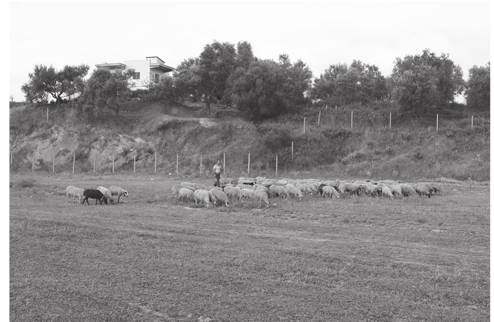 Figure 20.2. The eastern side of the hilltop site at Mursi (Photo by David Hernandez) 