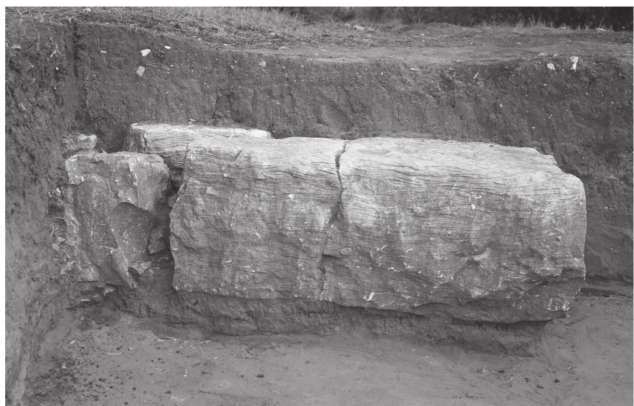 Figure 20.21. Stone block of fortification wall 39 and foundations of wall 85 (left) (Photo by David Hernandez) 