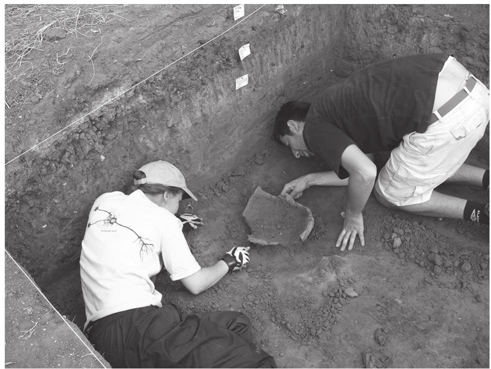 Figure 20.28. Cooking pot in situ in Context 12 (Area 1, Unit 1), 12th—1I th century BC (Photo by David Hernandez) 