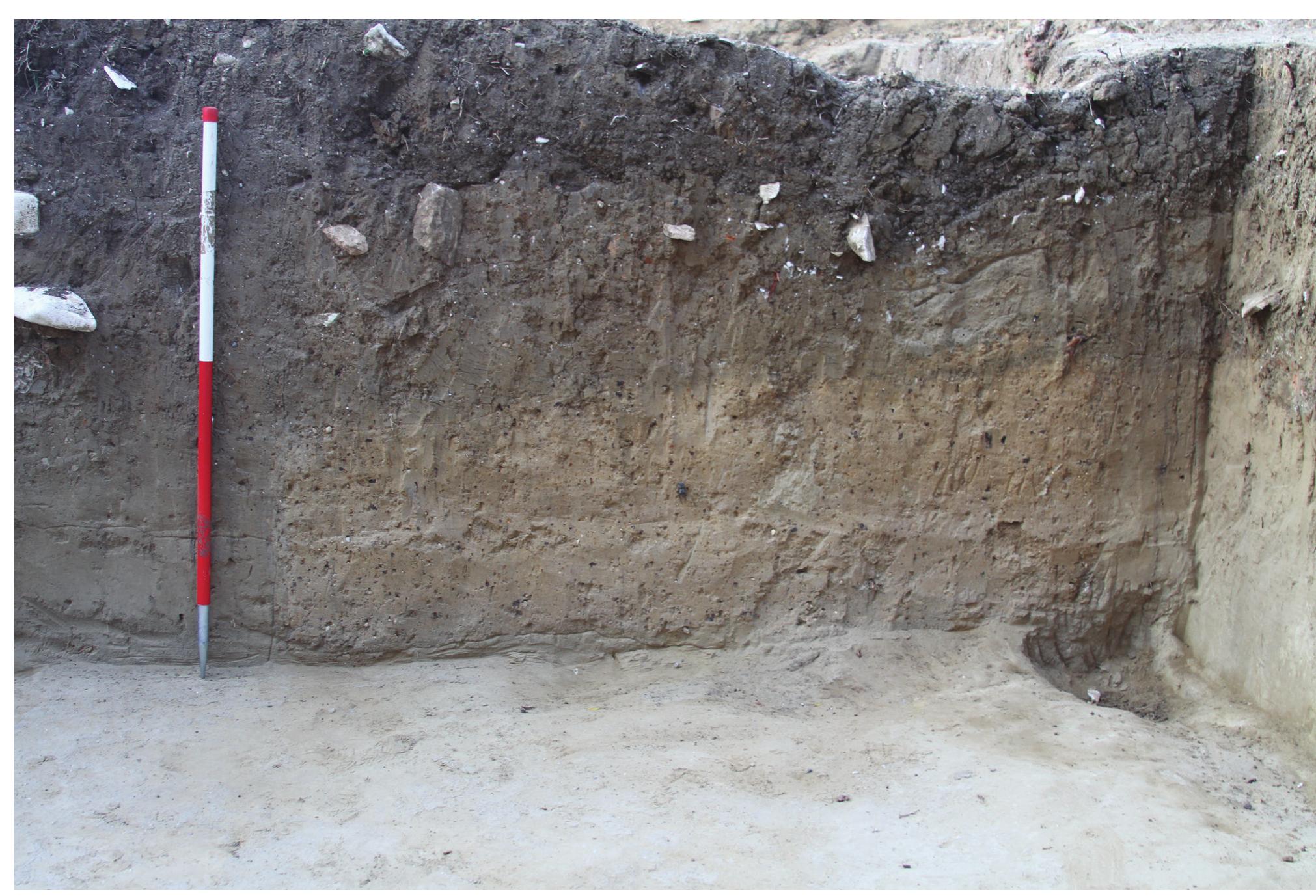 Plate 20.7. Mursi: Detail of robbing trench 71 (Photo by David Hernandez) 