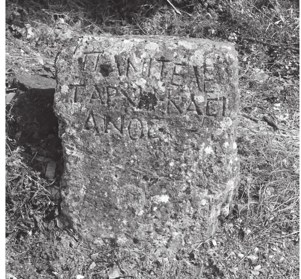 Figure 24.11. Inscribed stele or boundary stone from the sanctuary of Pan (Photo by David Hernandez) 
