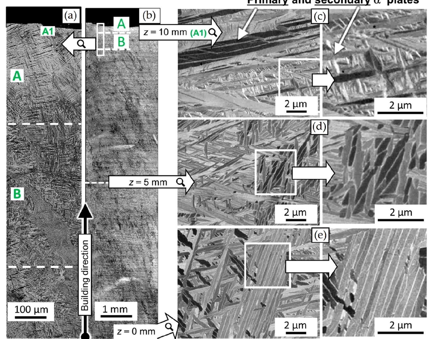 Figure 33. (a,b) OM micrographs performed along the z-axis, between top (A, A1) and bottom (B) regions; (c-e) SEM micrographs related to: (c) z= 10 mm, (d) z=5 mm, (e) z=0 mm (Reprinted from reference [222]). 