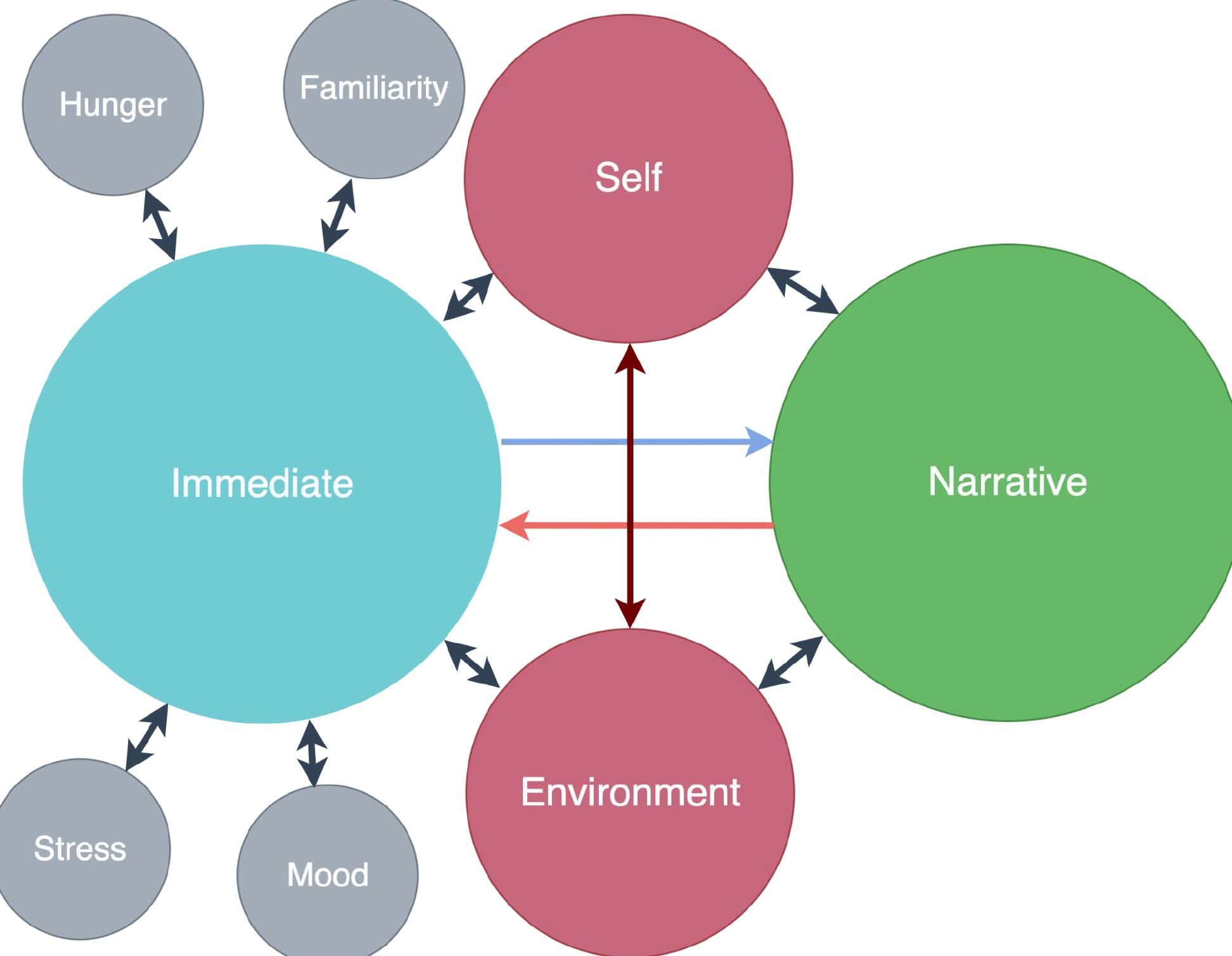 Figure 3 - Meaning dynamics - Immediate meaning gives context to narrative meaning; narrative meaning alters the environment and gives a backdrop for immediate meaning, which is additionally influenced by a variety of contextual factors. Self is shaped by the environment and leads to changes in the environment. 
