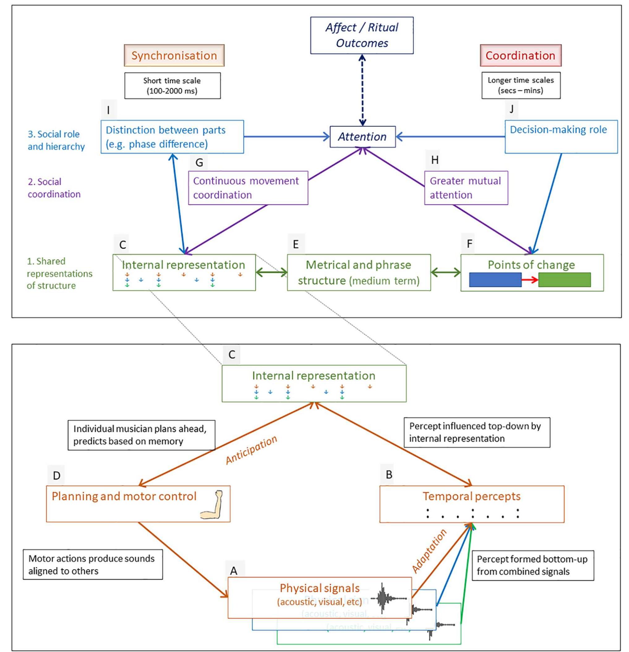 Figure 4 - Musical Entrainment model (Clayton et al., 2020) 