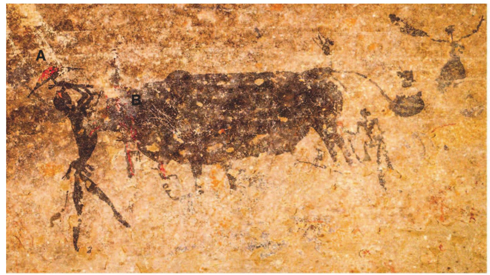 Challis and Sinclair-Thomson The Impact of Contact and Colonization on Indigenous Worldviews  Figure 9. Relating to the negotiation of ritual matters between foragers and farmers, this fine-line image depicts the sacrifice of a bull at the “first-fruits festival.” The figure on the far left raises a crescent-shaped iron ax (A), covered with bright blood, to bring it down again on the animal’s bleeding neck (B). Note the black, orange, and red pigments typical of contact rock art. Image courtesy of Jeremy Hollmann. 