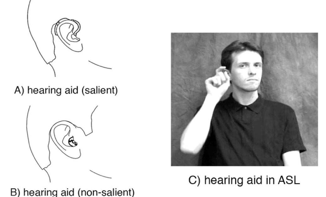 Figure 1. An example of materials for the picture-matching task. Partic- ipants first saw either a picture in which the iconic property of the sign wa: made salient (as in A: a picture of a wrap-around hearing aid) or they saw a picture in which the iconic property was not made salient (as in B: < picture of a smaller hearing aid that sits in the ear alone). The picture (A or B) was followed by a sign video (as in C: the American Sign Language [ASL] sign for HEARING AID produced with the curved index finger anc thumb tapping just behind the ear to represent a hearing aid) or by a videc clip of an English speaker saying “hearing aid” (not pictured). 