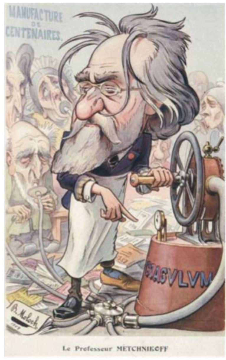 Figure 6. Cartoon, spoofing Metchnikoff’s enthusiasm for probiotics, as a panacea. Reprinted with permission of the Pasteur Institute archive. 