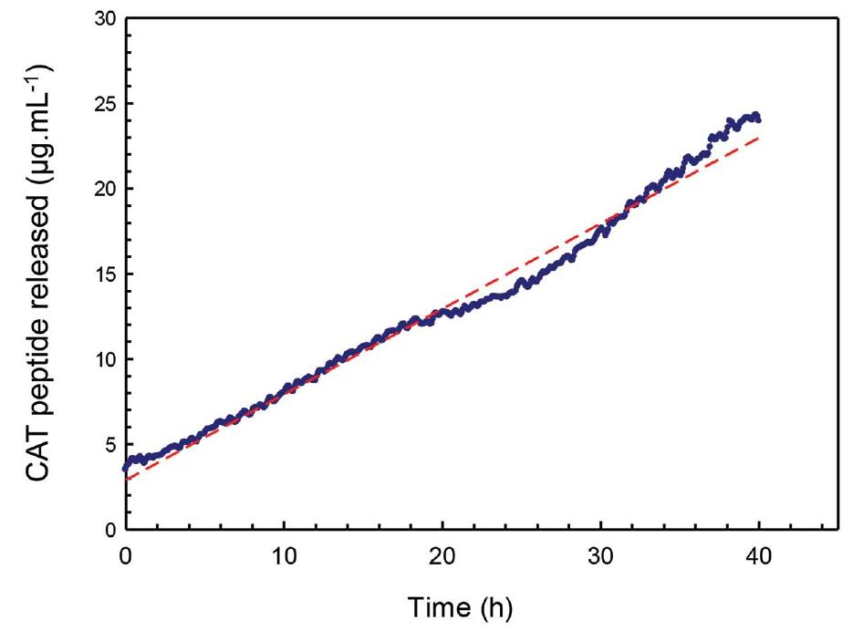 Figure 2. Release profile of CAT-rhodamine which was loaded into (PAR/ HA)24 multilayer film (blue line). Data have been fitted with a linear regression (red dotted line).  Acceptance of implant and efficient healing requires balanced activity of key innate immune cells of tissue microenvironment, in particular of macrophages which are the first cells coming in contact with a biomaterial. In broad terms, macrophage 