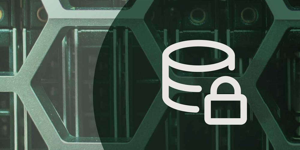 An icon of a database with a closed lock in front of computer servers.